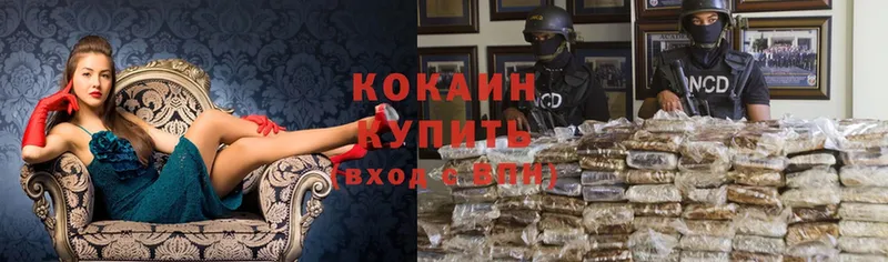 hydra tor  Вятские Поляны  COCAIN Fish Scale  хочу  