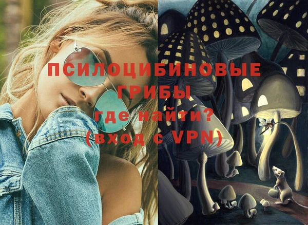 прущая мука Аша