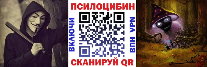 Псилоцибиновые грибы GOLDEN TEACHER  Вятские Поляны 