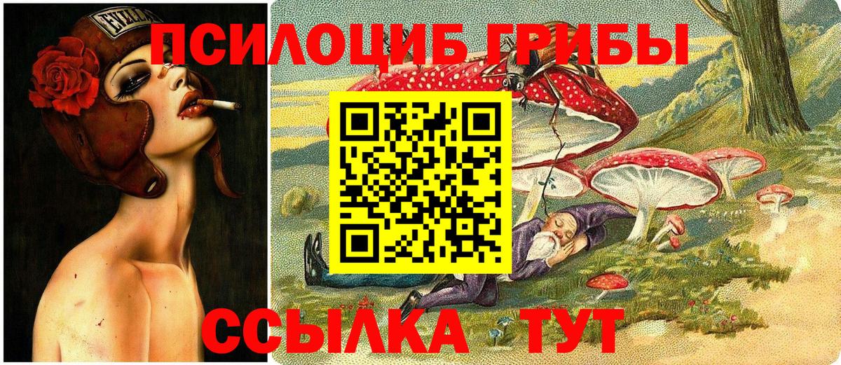 Галлюциногенные грибы мухоморы  Вятские Поляны  Псилоцибиновые грибы мицелий 