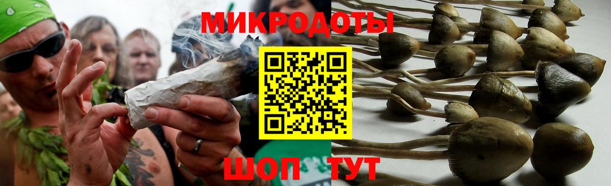 Псилоцибиновые грибы GOLDEN TEACHER Вятские Поляны